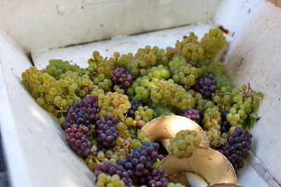 High angle view of grapes in container