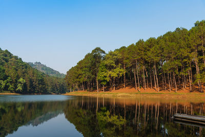 Scenic view of lake in forest against clear sky