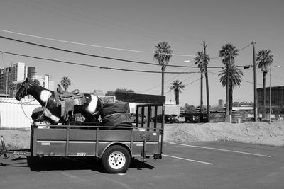 Horse statue being transport through land vehicle