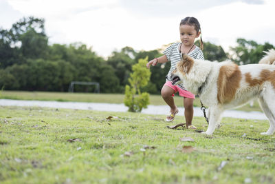 Portrait of dog running on field