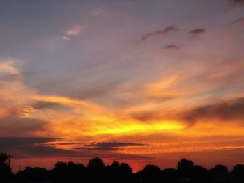 Low angle view of silhouette trees against orange sky