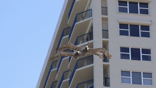 Low angle view of building against sky