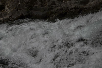 View of water splashing on tree