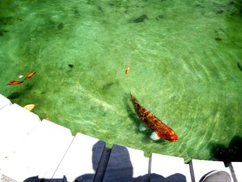 View of water in pond