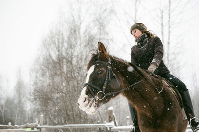 Low angle view of beautiful woman riding horse on snow covered field