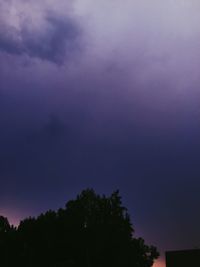 Low angle view of trees against sky