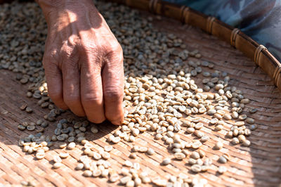 Farmers sort rotten and fresh coffee beans before drying. 