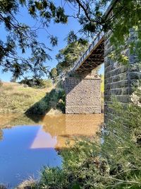 Reflection of tree and building in lake