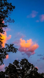 Low angle view of silhouette trees against sky