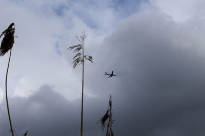 Low angle view of cloudy sky