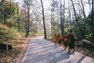 Rear view of people walking on road in forest