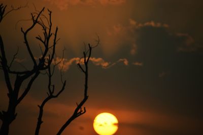 Low angle view of silhouette tree against sky during sunset