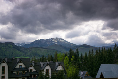 Houses amidst trees and buildings against sky