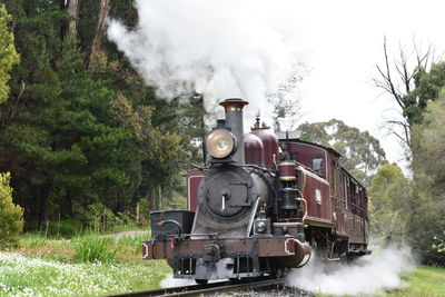 Train on railroad tracks amidst trees