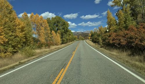 Empty road along trees and plants