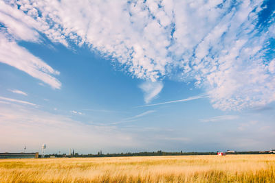 Scenic view of agricultural field against sky