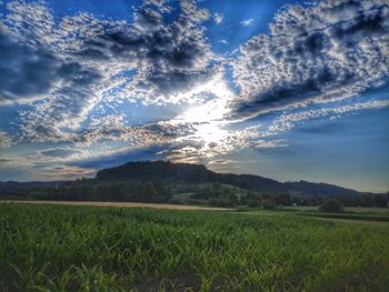 Scenic view of field against sky