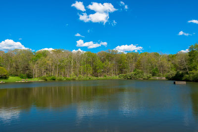 Scenic view of lake in forest against blue sky