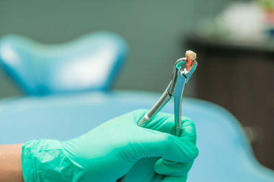 Cropped hand of dentist holding dental equipment with teeth