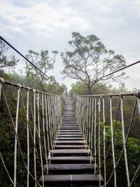 Footbridge amidst trees against sky