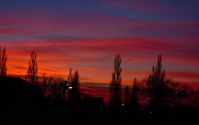 Silhouette plants against orange sky