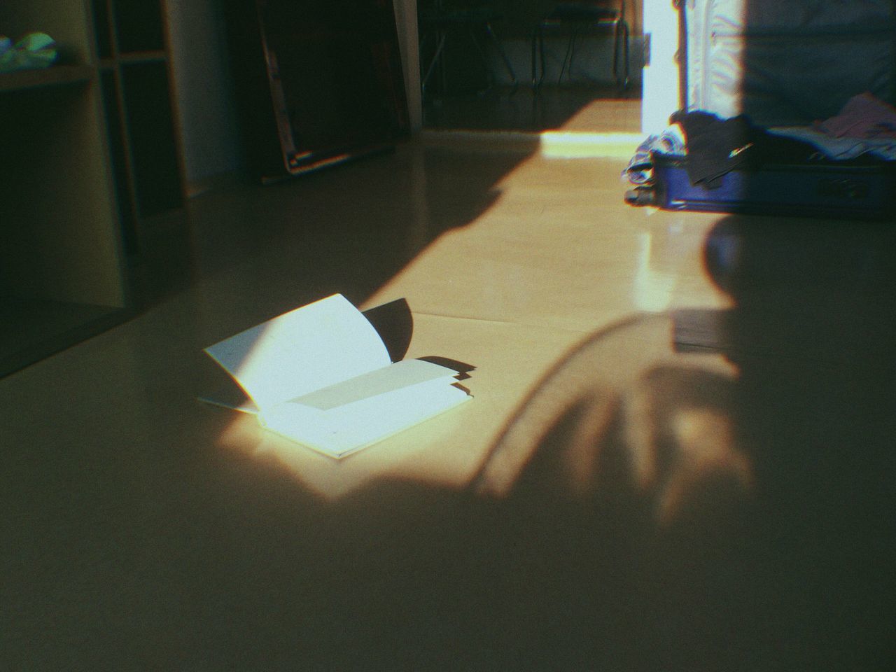 Reading a book Shadow Sunlight Paper Day