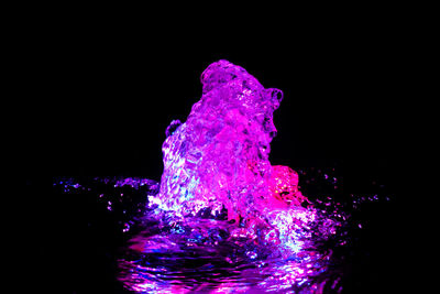 Close up of purple flower against black background