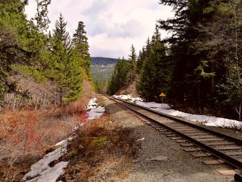 Railroad tracks amidst trees against sky