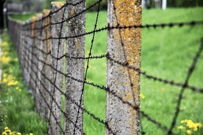 Close-up of barbed wire fence