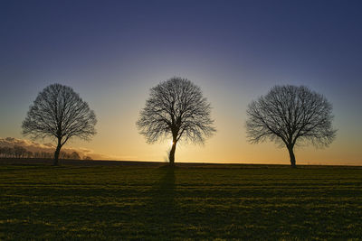Silhouette bare trees on field against sky during sunset
