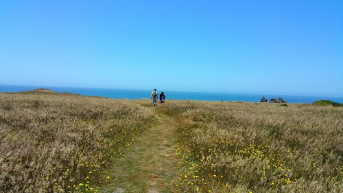 People walking on landscape against clear blue sky