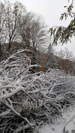 Close-up of snow on landscape against sky