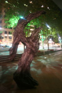 View of trees at night
