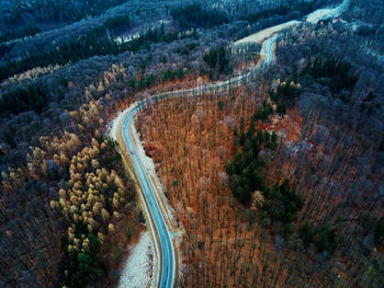 Landscape with winding road through forest, aerial view