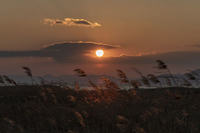 Scenic view of sunset over land