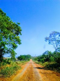 Dirt road amidst trees against blue sky