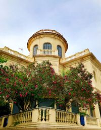 Low angle view of flowering plants by building against sky