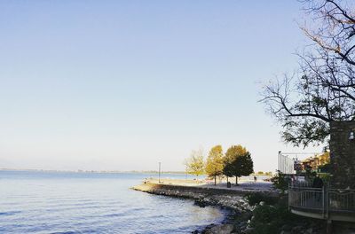 Scenic view of bare trees against clear sky