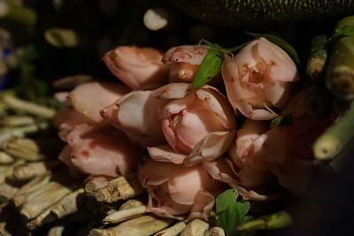 High angle view of chopped vegetables on plant