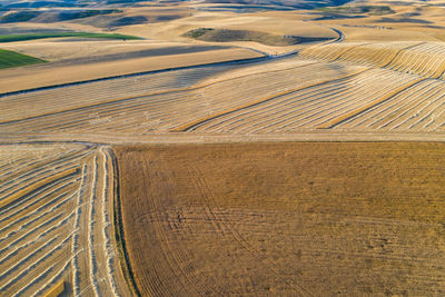 Full frame shot of agricultural field