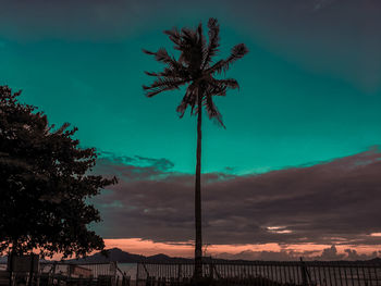 Low angle view of silhouette palm trees against sky at sunset