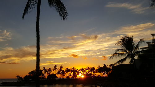 Silhouette of palm trees on beach during sunset