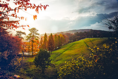 Scenic view of field against cloudy sky