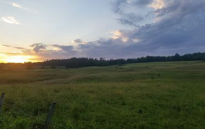 Scenic view of grassy field against sky at sunset