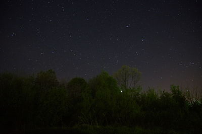 Low angle view of trees against sky at night