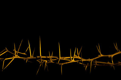 Low angle view of illuminated lights against clear sky at night