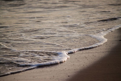 Scenic view of beach