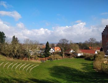 Trees and houses on field against sky