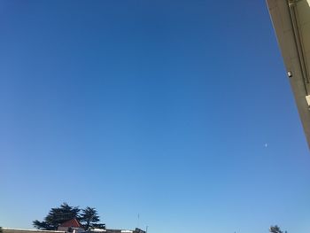 Low angle view of trees against clear blue sky