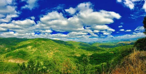 Scenic view of landscape against sky